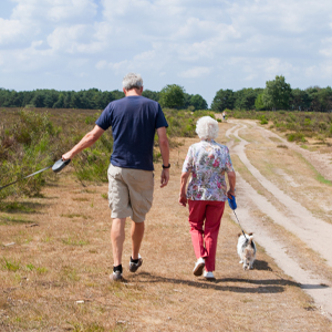 A healthy couple walking after care from their orthopedic provider.